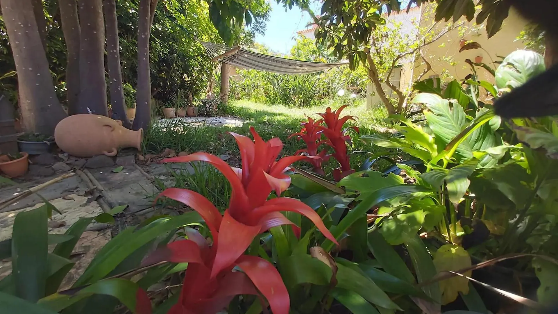 Charming House With Shared Pool In San Cristobal De La Laguna Spain